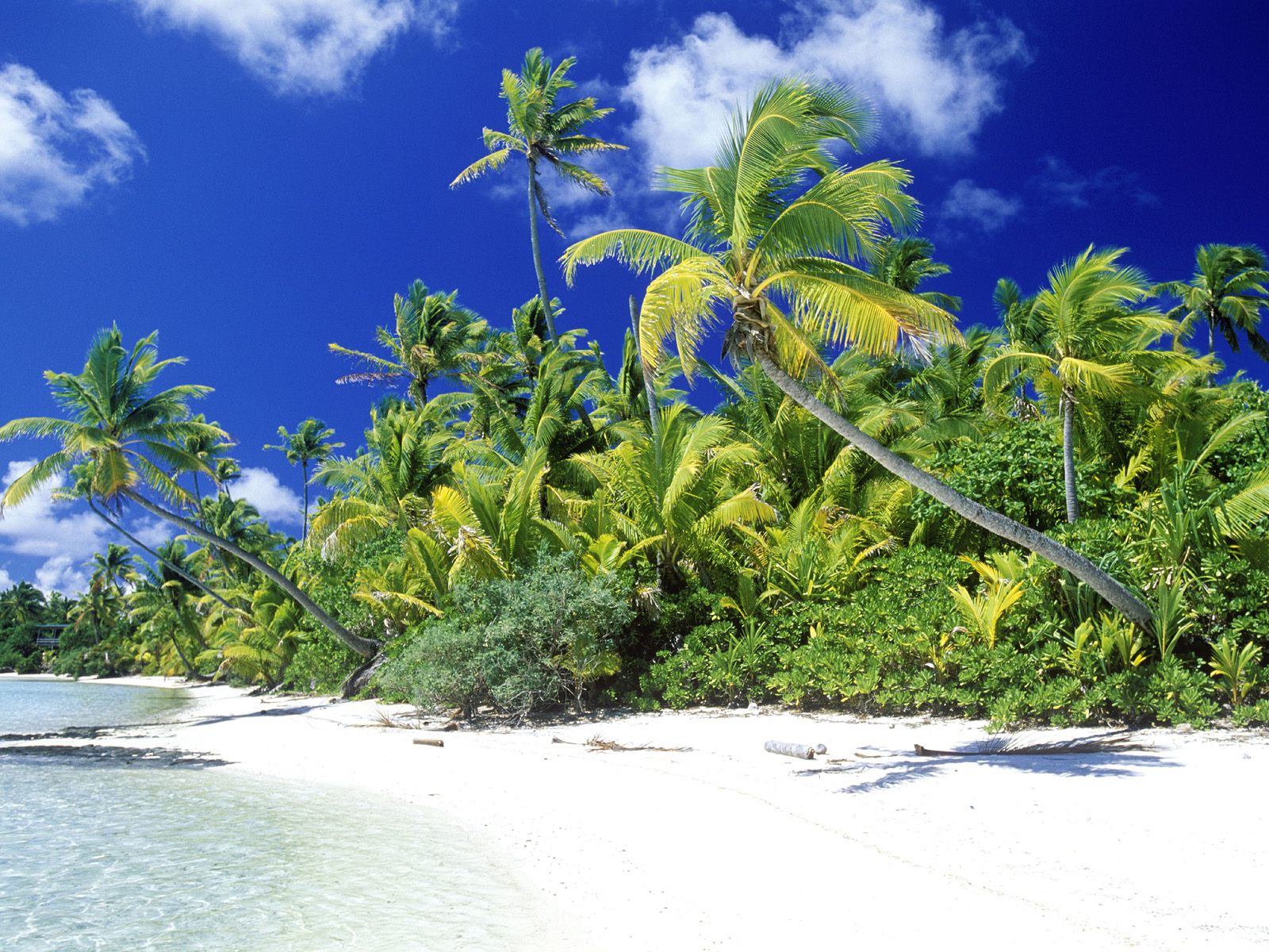 Palm Beach Solomon Islands4811910339 - Palm Beach Solomon Islands - Solomon, Palm, Lagoon, Islands, Beach